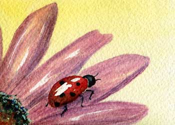 "One Little Ladybug" by  Susan Nitzke, Cottage Grove WI - Watercolor 